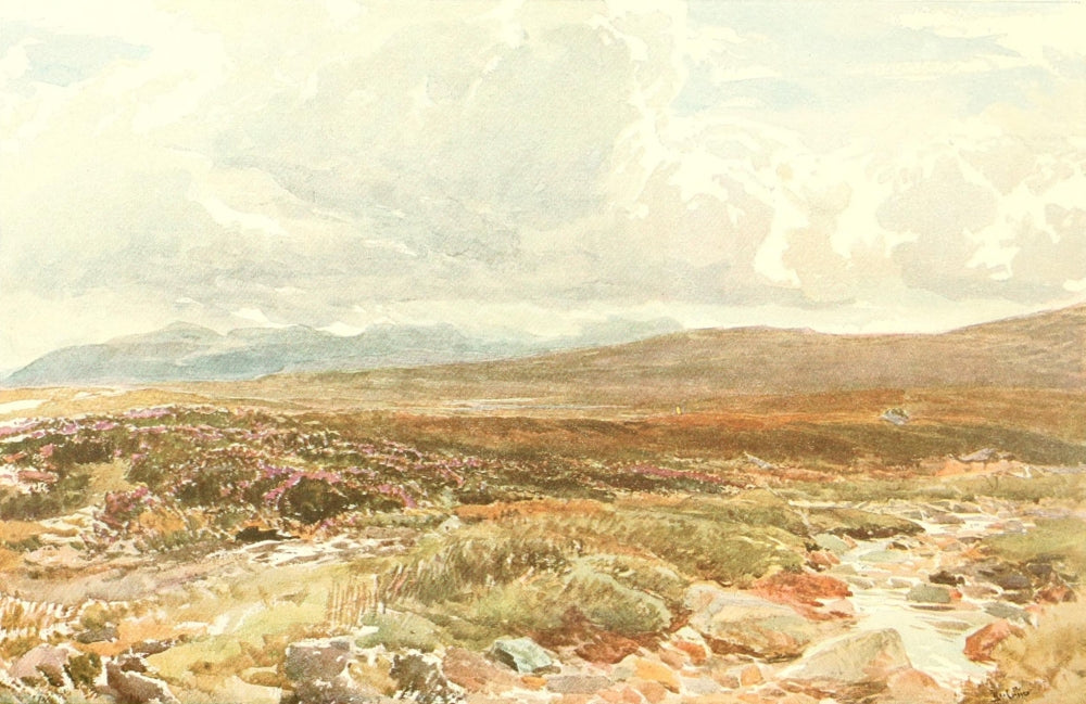 Studio 1904 A Sussex Common Poster Print by Thomas Collier