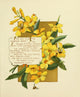 Bermuda in June 1893 Poster Print by Bessie Gray featuring a serene landscape.