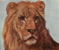 The Lion Meditating fine art poster print by Rosa Bonheur.