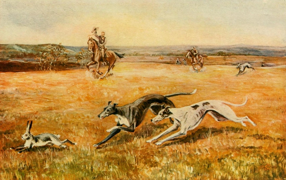The Hunting Field 1910 poster print by Julian Ingersoll Chamberlain, showcasing a serene hunting scene.