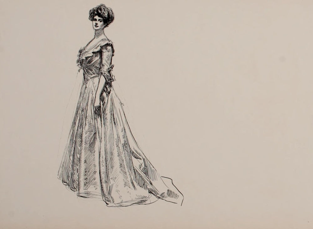 Social Ladder 1902 Lady in Dress Poster Print by Charles Dana Gibson