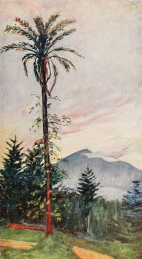 Naples 1904 View from Hotel du Parc Poster Print by Augustine Fitzgerald