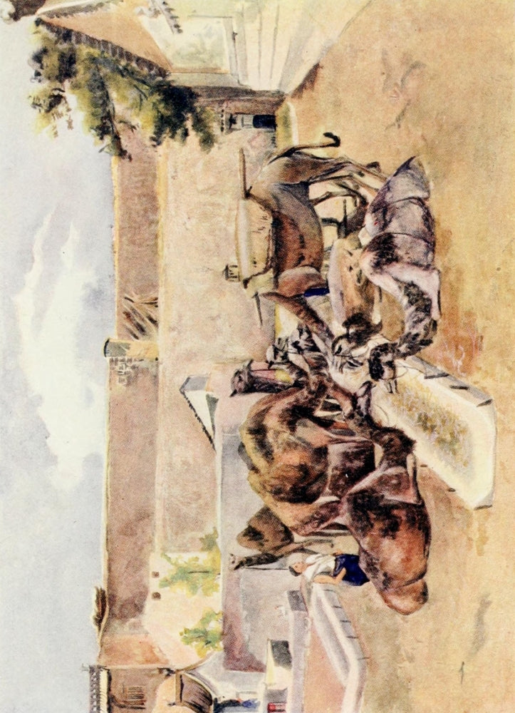 The Face of China 1909 Camel Inn Poster Print by Emily G. Kemp