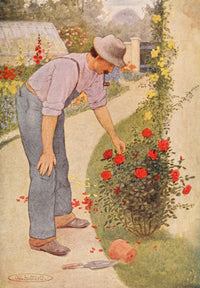 Moufflou & Other Stories 1910 Tending the Roses Poster Print by Maria Kirk
