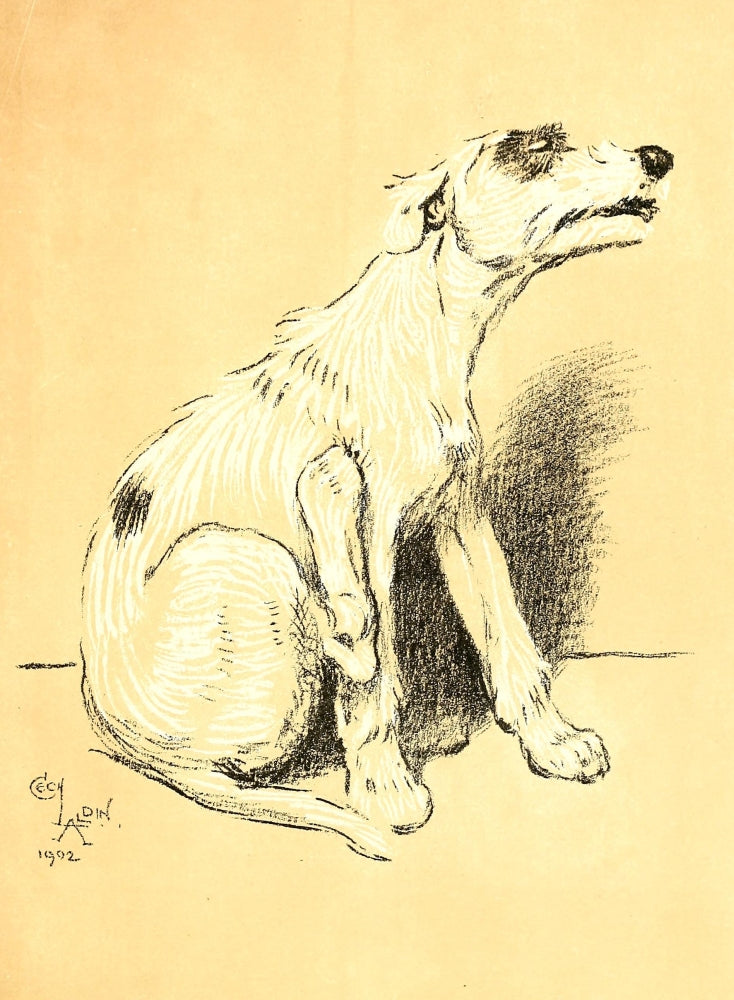 A Dog Day 1902 Poster Print by Cecil Aldin featuring playful dogs in a whimsical setting.