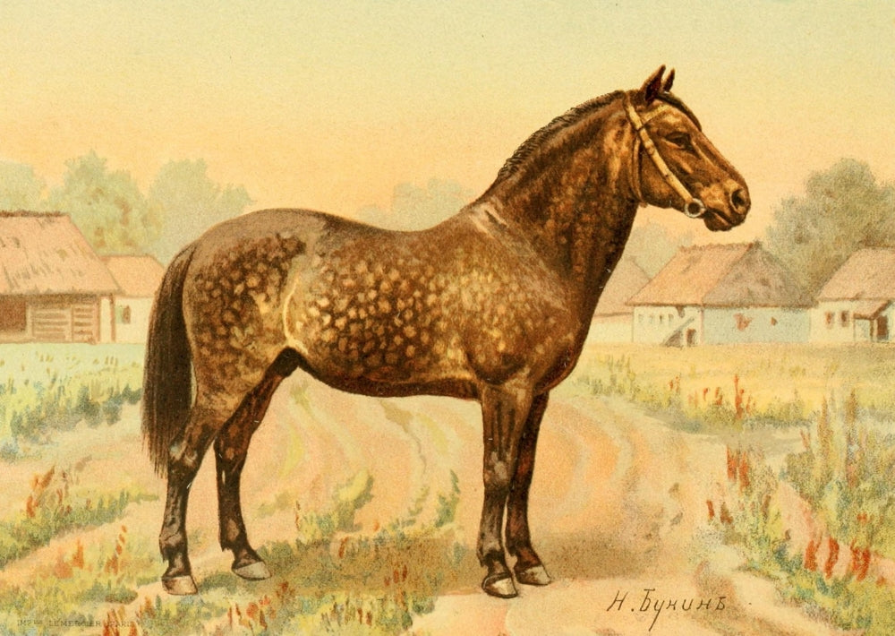 Les Races Chevalines 1894 Zmey Poster Print by M. Bounine