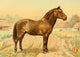 Les Races Chevalines 1894 Zmey Poster Print by M. Bounine