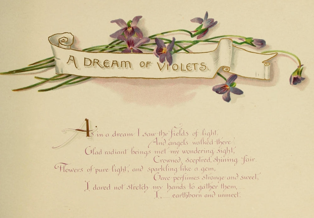 A Dream of Violets 1898 Poster Print by Bessie Gray, floral art print.