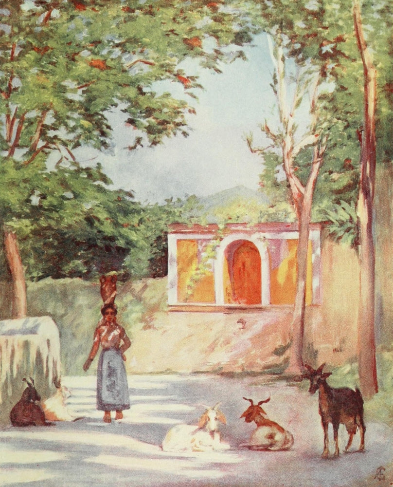 Naples 1904 On the Road to Forio Poster Print by Augustine Fitzgerald