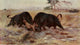 Im Lande meiner Modelle 1918 Fighting Buffalo Poster Print by F.W. Kuhnert