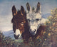 The Wise Ones Donkeys Poster Print by L. Cheviot