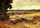 In Unfamiliar England 1910 On the Downs Poster Print by Wilfrid Ball