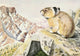 Burgess Animal Book Pika Poster Print by L.A. Fuertes