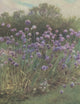 Happy England 1904 Study of Leeks Poster Print by Helen Allingham