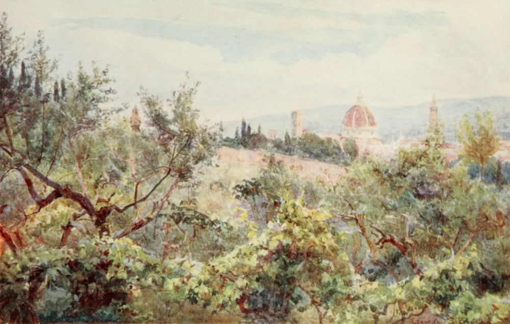Florence 1912 Poster Print featuring olive grove landscape by R.C. Goff.