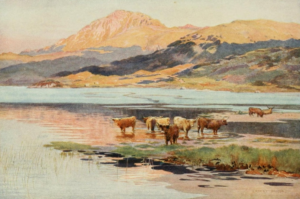 Angling & Art in Scotland 1908 Head of Loch Quoich Poster Print