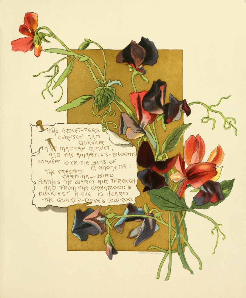 Bermuda in June 1893 Sweet Peas Poster Print by Bessie Gray