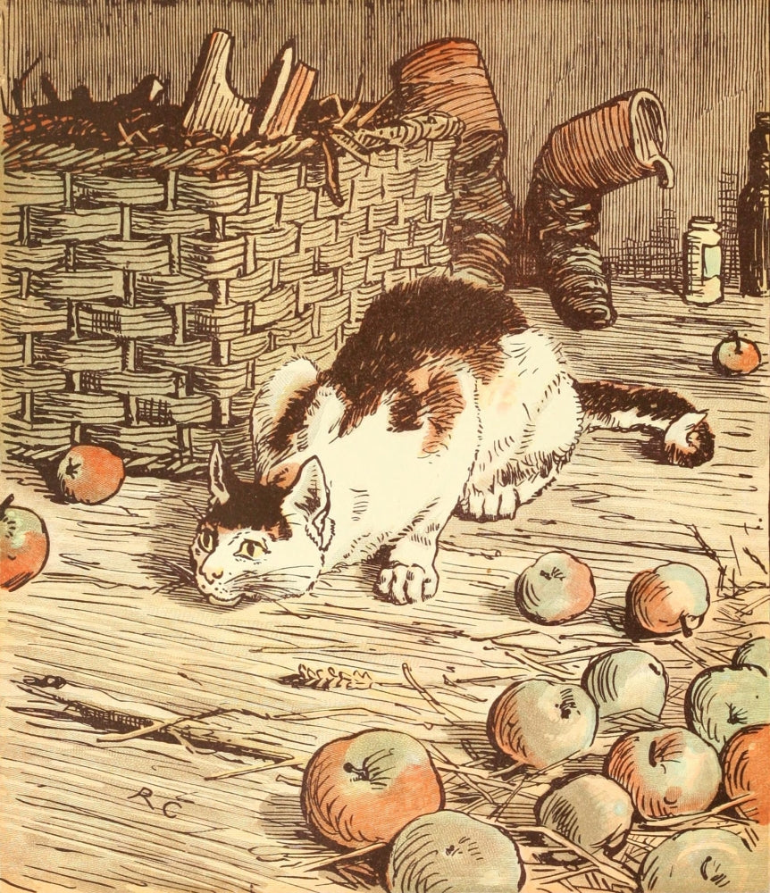 Randolph Caldecott's Picture Book Cat Poster Print from the 1890s