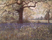 Kew Gardens 1908 Wild Hyacinths Poster Print by T. Mower Martin