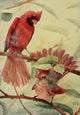 Bird Neighbors 1904 Cardinal Grosbeak Poster Print by Henry C. Denslow