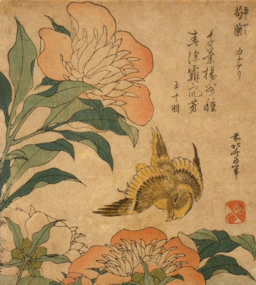 Peony and Canary Art Print by Katsushika Hokusai, vibrant floral artwork