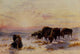 Canada 1907 Buffalo Poster Print by T. Mower Martin