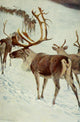 Wild Life of the World 1916 Scandinavian Reindeer Poster Print by Friedrich Wilhelm Kuhnert