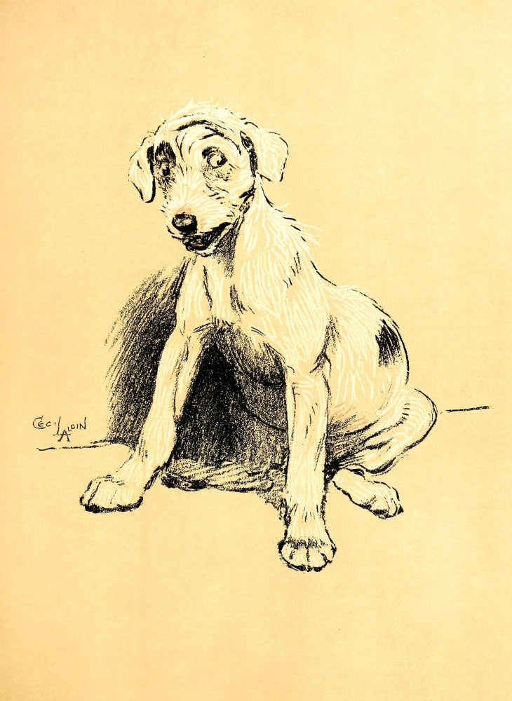 A Dog Day 1902 Listening Poster Print by Cecil Aldin