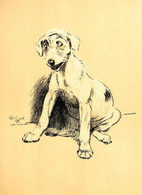 A Dog Day 1902 Listening Poster Print by Cecil Aldin
