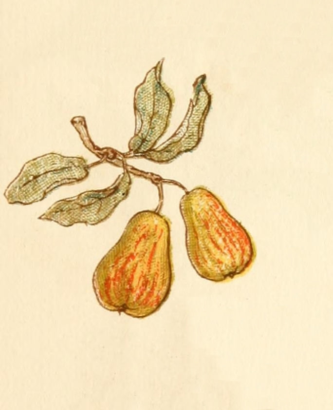 Language of Flowers 1884 Pears Poster Print by Kate Greenaway