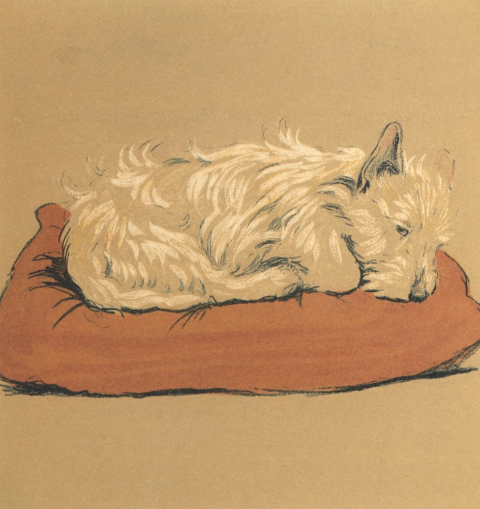 Mac 1912 Trying to Sleep Poster Print by Cecil Aldin, available in multiple sizes.