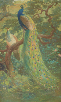 Monograph Pheasants 1918 Indian Peafowl Poster Print by C.R. Knight