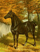 The Brookfield Stud 1891 Candidate Poster Print by Samuel J. Carter