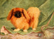 New Book of the Dog 1911 Pekinese Poster Print by Lilian Cheviot