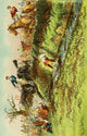 Heroes and Heroines of the Grand National 1907 poster print featuring Becher's Brook.
