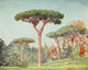 Naples 1904 Rock Pines at Villa Floridiana Poster Print by Augustine Fitzgerald