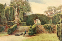 Some English Gardens 1904 Brockenhurst Terrace Poster Print by George S. Elgood