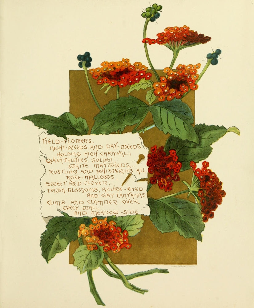 Bermuda in June 1893 Field Flowers Poster Print by Bessie Gray