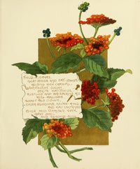 Bermuda in June 1893 Field Flowers Poster Print by Bessie Gray