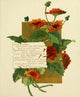 Bermuda in June 1893 Field Flowers Poster Print by Bessie Gray
