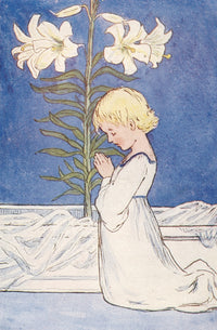 Summer Flowers c.1910 Madonna Lily Poster Print by Eleanor S. March