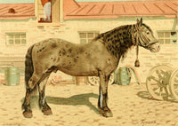 Les Races Chevalines 1894 Poster Print by M. Bounine - Horse Breeds Art