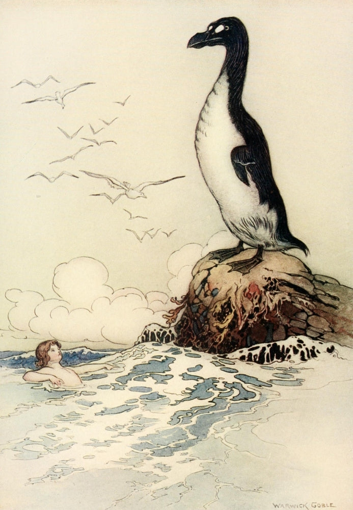 The Water-Babies 1909 The Last of the Gairfowl Poster Print by Warwick Goble