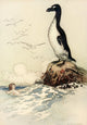 The Water-Babies 1909 The Last of the Gairfowl Poster Print by Warwick Goble
