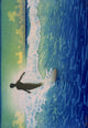 Surfing in Hawaii c.1921 Poster Print by Charles William Bartlett
