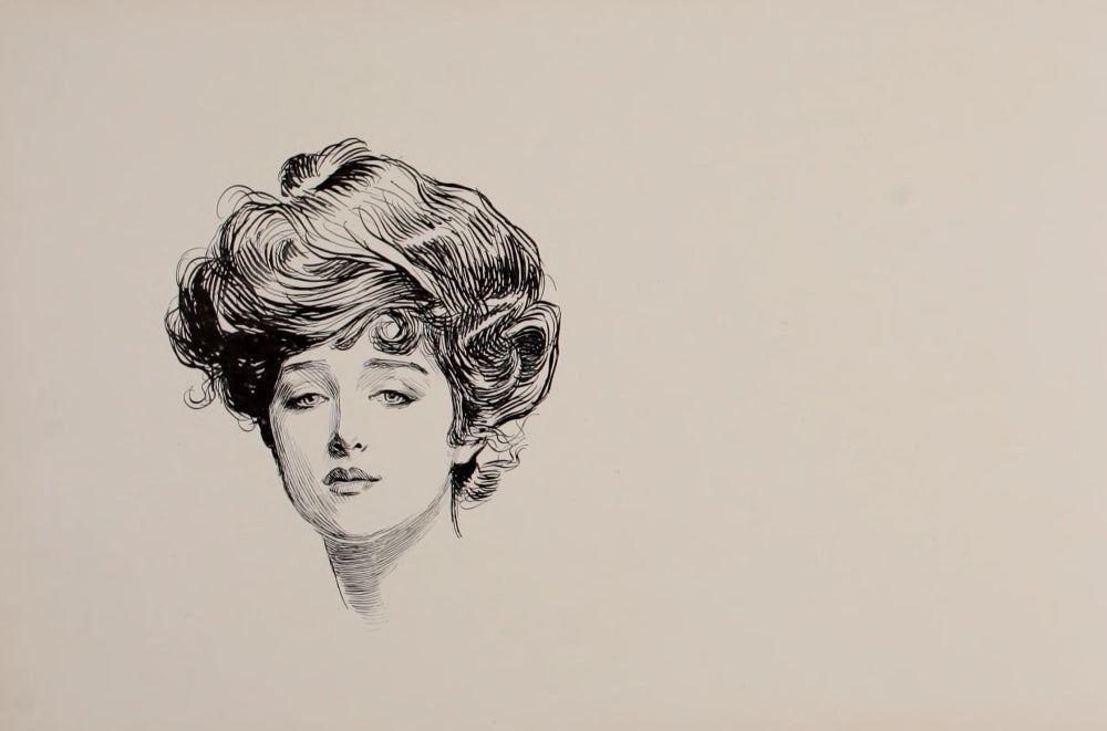 Social Ladder 1902 Woman Poster Print by Charles Dana Gibson