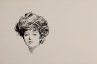 Social Ladder 1902 Woman Poster Print by Charles Dana Gibson