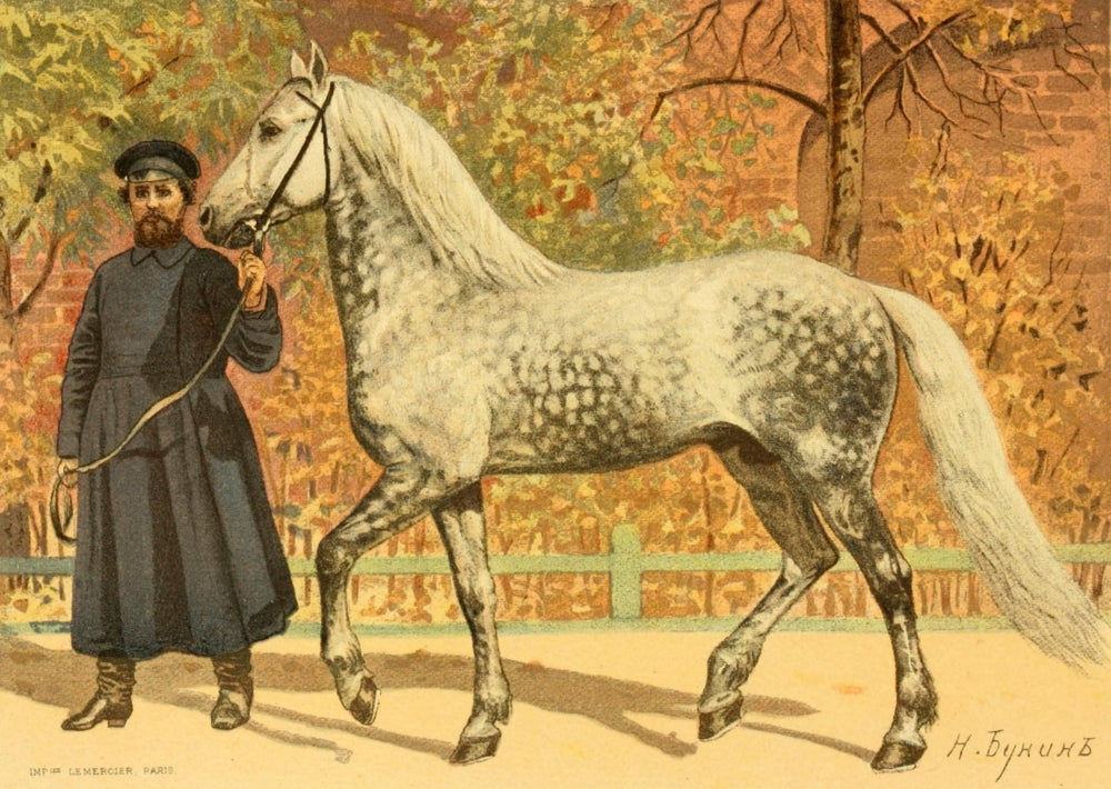 Les Races Chevalines 1894 Poster Print by M. Bounine showcasing majestic horses.