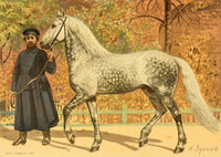 Les Races Chevalines 1894 Poster Print by M. Bounine showcasing majestic horses.