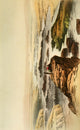 The 2nd Cataract & Rock of Abousir Poster Print by M.L.M. Carey
